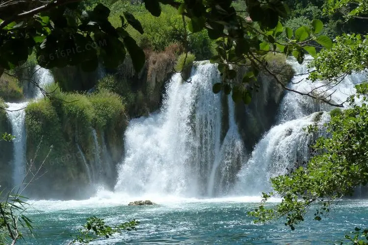 高标准全自动